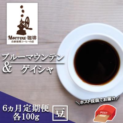 ふるさと納税 小郡市 コーヒー 定期便6ヶ月 ブルーマウンテンNo.1&amp;ゲイシャ 各100g 豆[No5354-0424]