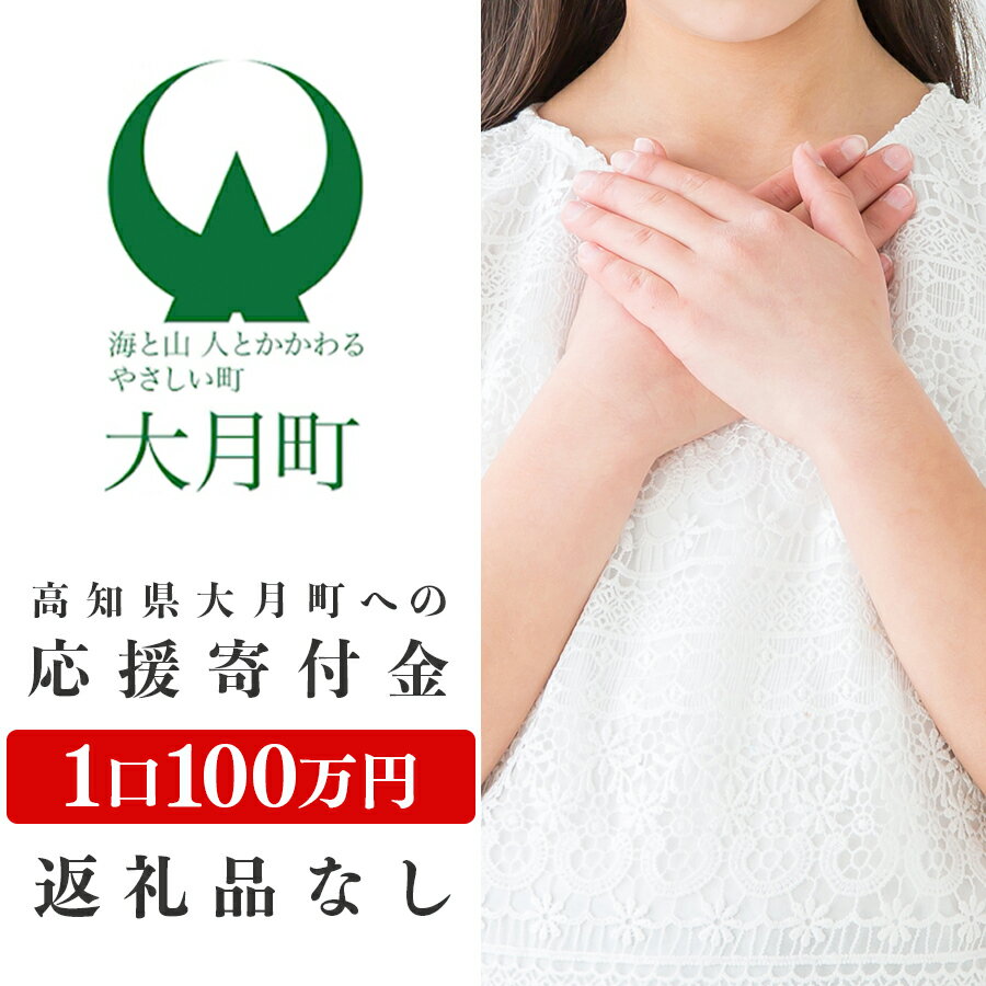 【ふるさと納税】高知県大月町への応援寄附金100万円　【返礼品なし】