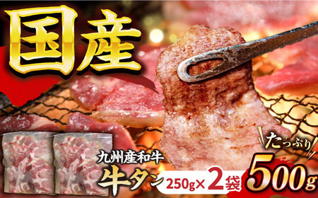 ★1ヶ月内発送★牛タン500g[EAX084]国産牛タン国産牛タン牛タン牛タン牛タン