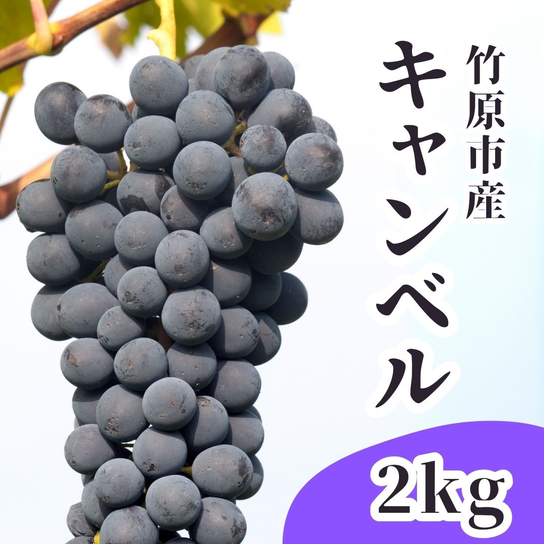 【ふるさと納税】キャンベル ぶどう 2kg 詰め合わせ 川重ぶどう園 【 葡萄 ブドウ フルーツ 果物 採れたて 人気 】　※2025年8月中旬頃から順次発送　※北海道・沖縄・離島への配送不可