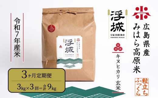 《令和7年》【3か月定期便】みはら高原米 浮城 ～ きぬひかり ～ 玄米 3kg お米 米 ごはん ご飯 広島県 三原市 220047