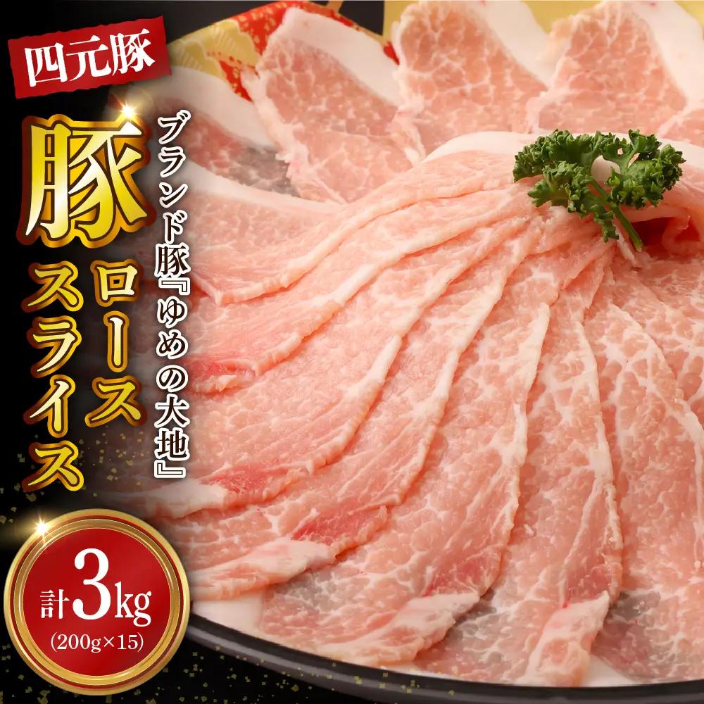 【えりも町生まれ 四元豚】ゆめの大地 豚 ロース スライス 3kg