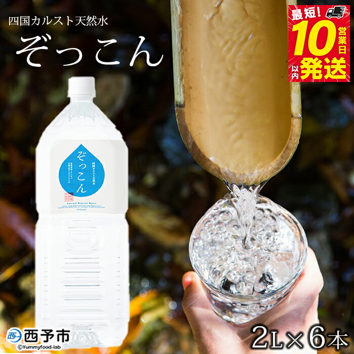 【ふるさと納税】＜四国カルスト天然水ぞっこん 2L×6本 計12L＞飲料 水 みず 中硬水 弱アルカリイオン水 ペットボトル ウォーター バナジウム 備蓄 防災 非常用 キャンプ アウトドア 国産 特産品 ぞっこん四国 愛媛県 西予市【常温】『最短10営業日以内に順次発送予定』