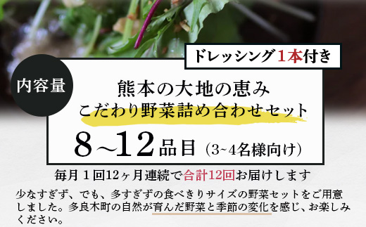 【定期便12回】熊本の大地の恵み≪ 野菜で野菜を食べる ≫ 旬のこだわり 野菜 ＆ドレッシング セット (3〜4名様向け) 野菜 獲れたて 8～12品 直送 旬 新鮮 定期便 野菜ドレッシング 詰め合