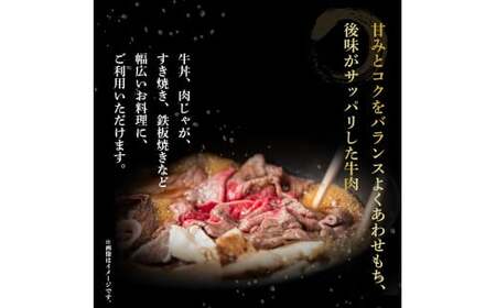 四万十麦酒牛 こま切れ (360g×2) 焼肉 赤身 しゃぶしゃぶ ビール牛 国産 小間切れ 冷凍 小分け ／Asz-02