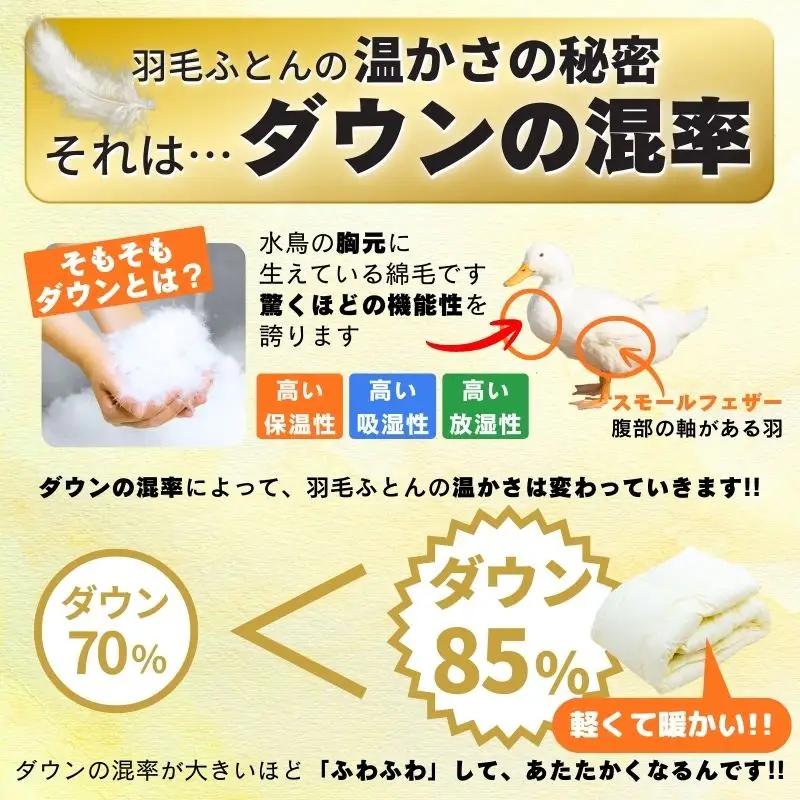 【工場直販】肌掛け高級羽毛布団　ホワイトダウン85% ＜シングル/柄お任せ＞ HNNCG001