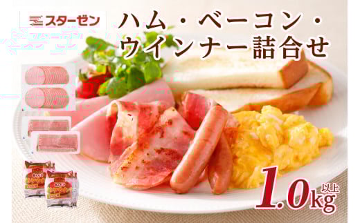 ハム・ベーコン・ウインナー詰合せ ns009s-014 【豚肉 肉 ハム ベーコン ウインナー 豚ロース サラダ サンドイッチ】