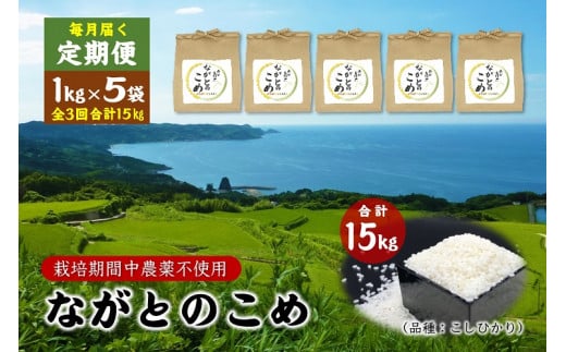 定期便 ながとのこめ 白米 精米 1kg×5袋 毎月 全3回 合計15kg コシヒカリ こしひかり 長門市 令和6年度産