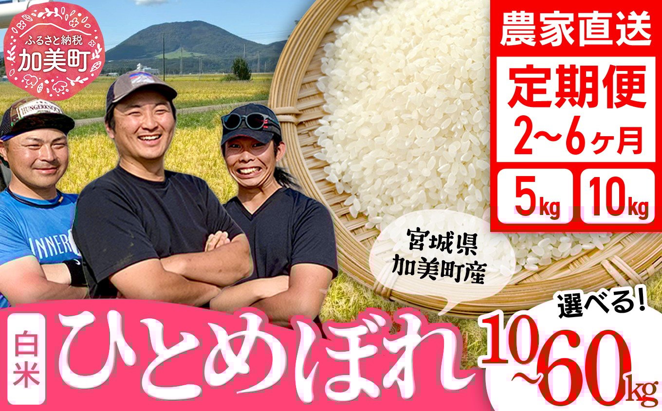 
            【選べる配送回数】 米 宮城県産 ひとめぼれ 5kg 10kg 定期便 《 令和7年産 新米 》 白米 精米 ご飯 ごはん コメ こめ お米 小分け 家庭用 結心ファーム [ 宮城県 加美町 ]  
          