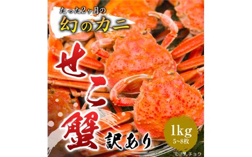 【ボイル】訳あり親ガニ 1kgセット(5～8枚入り)