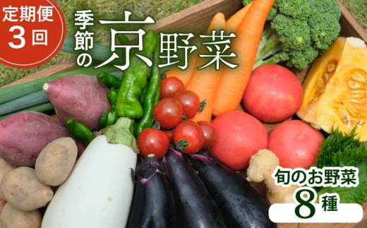 【定期便3回】【産地直送】旬のお野菜詰め合わせ 8種類 ( 京野菜 野菜 お野菜 やさい セット 野菜セット 詰め合わせ 詰め合わせセット 季節 旬 旬野菜 産地直送 栄養 安心 新鮮 おすすめ きよしファーム 南丹市 南丹 京都府 京都 3ヶ月 3か月)