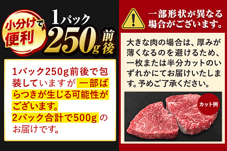 くまもと黒毛和牛 サーロインステーキ 500g ( 250g x 2枚 ) 牛肉 冷凍 《1月中旬-4月末頃出荷》 くまもと黒毛和牛 黒毛和牛 冷凍庫 個別 取分け 小分け 個包装 ステーキ肉 にも 