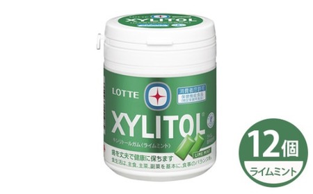 キシリトールガム ライムボトル 12個 | ガム ガム ガム ガム ガム