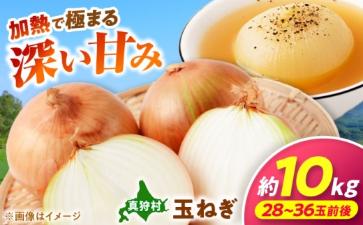 【2026年10月上旬以降順次発送】 玉ねぎ 10kg | 野菜 玉ネギ たまねぎ やさい 北海道 産地直送 先行予約 | 道の駅 真狩フラワーセンター [BPAM080]