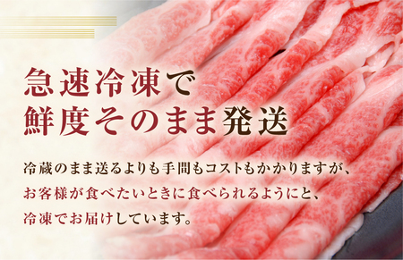【 定期便 】 A5 飛騨牛 プレミアム 3回 計1.5kg 飛騨牛 [S609]