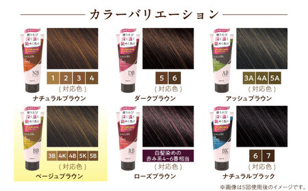 ダリヤ サロンドプロ カラートリートメント 3個セット【ベージュブラウン】 / 稲沢市 / 日興商事株式会社 [BMBK003-04]