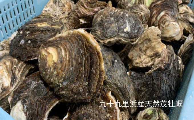 職人漁師が採る天然"茂牡蠣”小2kg入り（6～8個） 魚貝類 生牡蠣 かき カキ