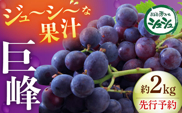 
            【先行予約：2025年8月中旬より順次発送予定】 巨峰 種あり 約2kg / ぶどう 葡萄 フルーツ / 大村市 / おおむら夢ファームシュシュ [ACAA380]
          