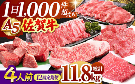 【全12回定期便】 4人前 佐賀牛 A5 食べつくし定期 [HAD111] 佐賀牛