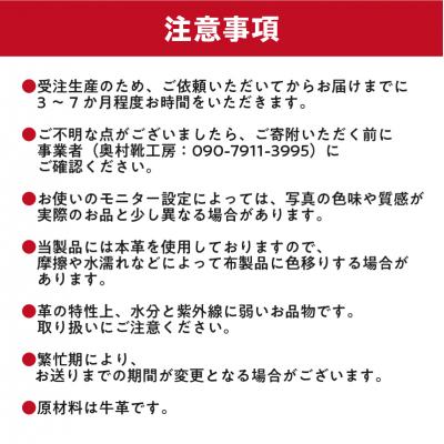 ふるさと納税 可児市 靴職人が作るセミオーダー靴(婦人)  |  | 03