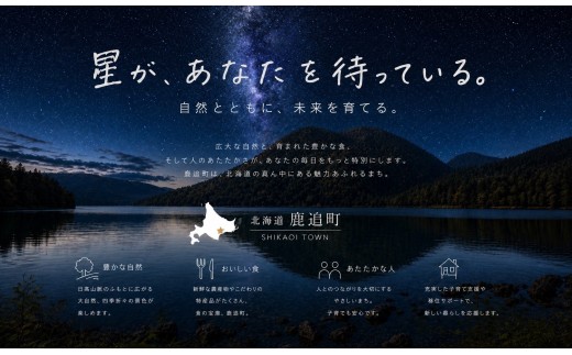 【3カ月毎4回】よつ葉加塩バター6個セット SKA079-6