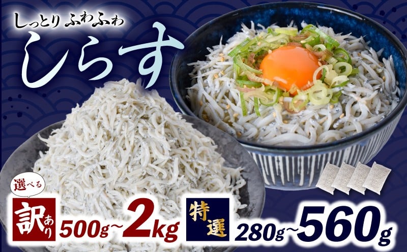 
            鮮度抜群 釜揚げしらす 280g ~ 2kg 小分け しらす 冷凍 大容量 惣菜 便利 弁当 晩ごはん 白州 白子魚介類 魚介類 海鮮 減塩 塩分控えめ わけあり 小魚 魚 鮮魚 個包装 簡単調理 グルメ 人気 海の幸 高知県産 ふりかけ  ちりめん しらすご飯 国産 じゃこ しらす丼 人気 選べる 訳あり 特選 子供用 容量 500g 1kg 安芸市 高知県
          