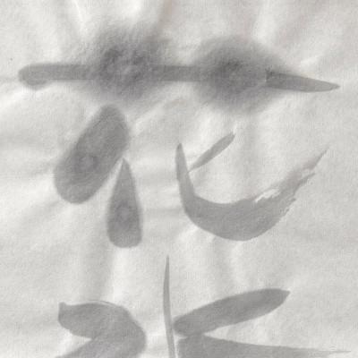 ふるさと納税 身延町 画仙紙 半切　花水木 50枚 |  | 03