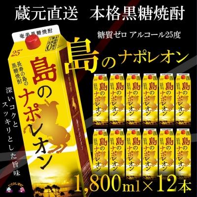 ふるさと納税 徳之島町 【蔵元直送便】本格黒糖焼酎　島のナポレオン1,800mlパック×12本
