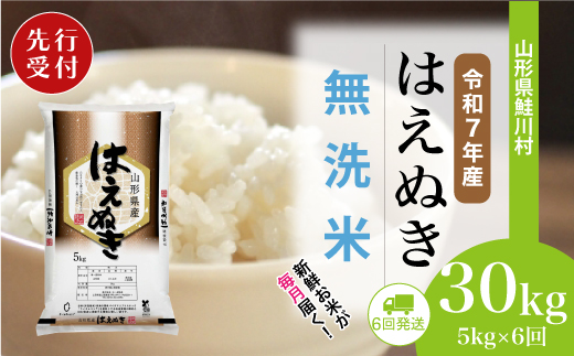 ＜令和7年産米先行受付＞ 山形県産 はえぬき 【無洗米】30kg定期便 (5kg×6回)　配送時期指定できます！