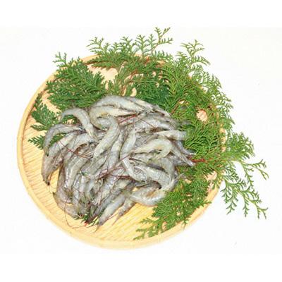ふるさと納税 島原市 【有明海産】 活き〆 天然小エビ1kg (500g×2) |  | 01