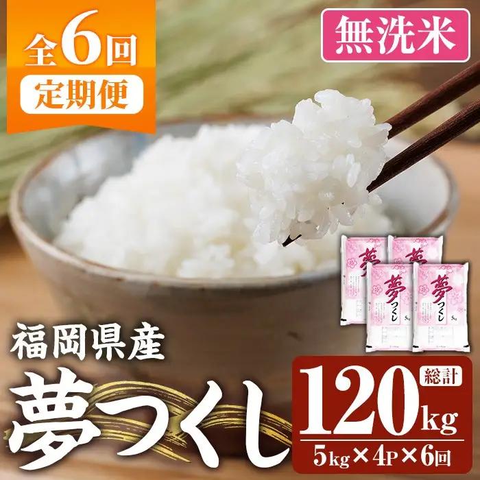 ≪令和8年産≫【6回定期便・無洗米】【食味鑑定士厳選】福岡県産 夢つくし(総計120kg・5kg×4袋×6回) 米 無洗米 お米 おこめ ごはん ゆめつくし ご飯 常温 福岡県産 ブランド米 定期便 定期 頒布会 常温 常温保存 【ファインリョーコク】as34-027