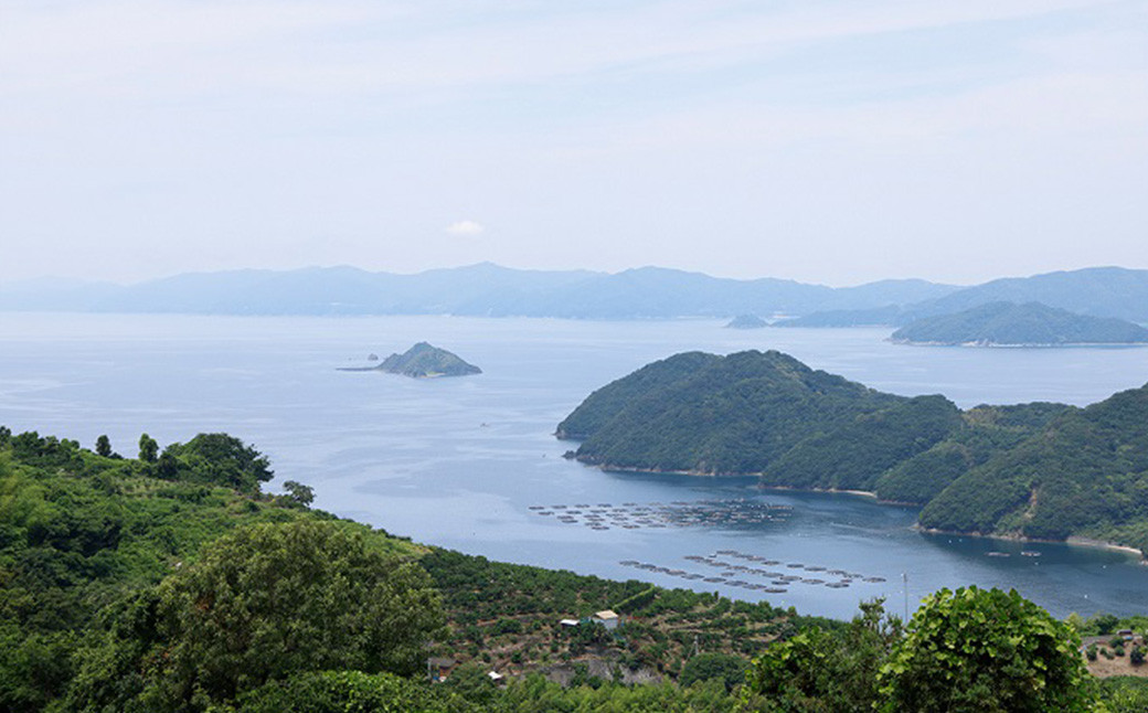 媛っこ地鶏 極上モモ焼き鳥 セット【15本】（906）