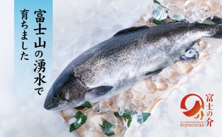 富士の介お刺し身セット