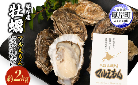 厚岸産牡蠣 約2kg マルえもん サイズ 形 不揃い