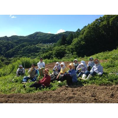 ふるさと納税 長野市 鬼無里(きなさ)のえごま油3本セット |  | 03