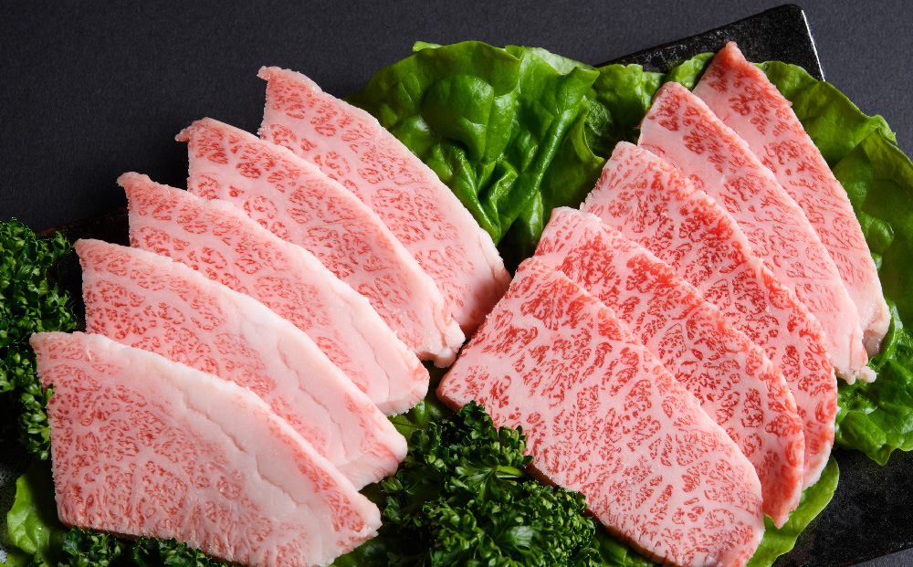 【3か月定期便】訳あり！艶さし！【A4～A5】佐賀牛焼肉切り落とし(肩ロース・バラ) 1kg(500g×2P)×3回【肉 牛肉 ブランド牛 黒毛和牛 ふるさと納税】(H112241)