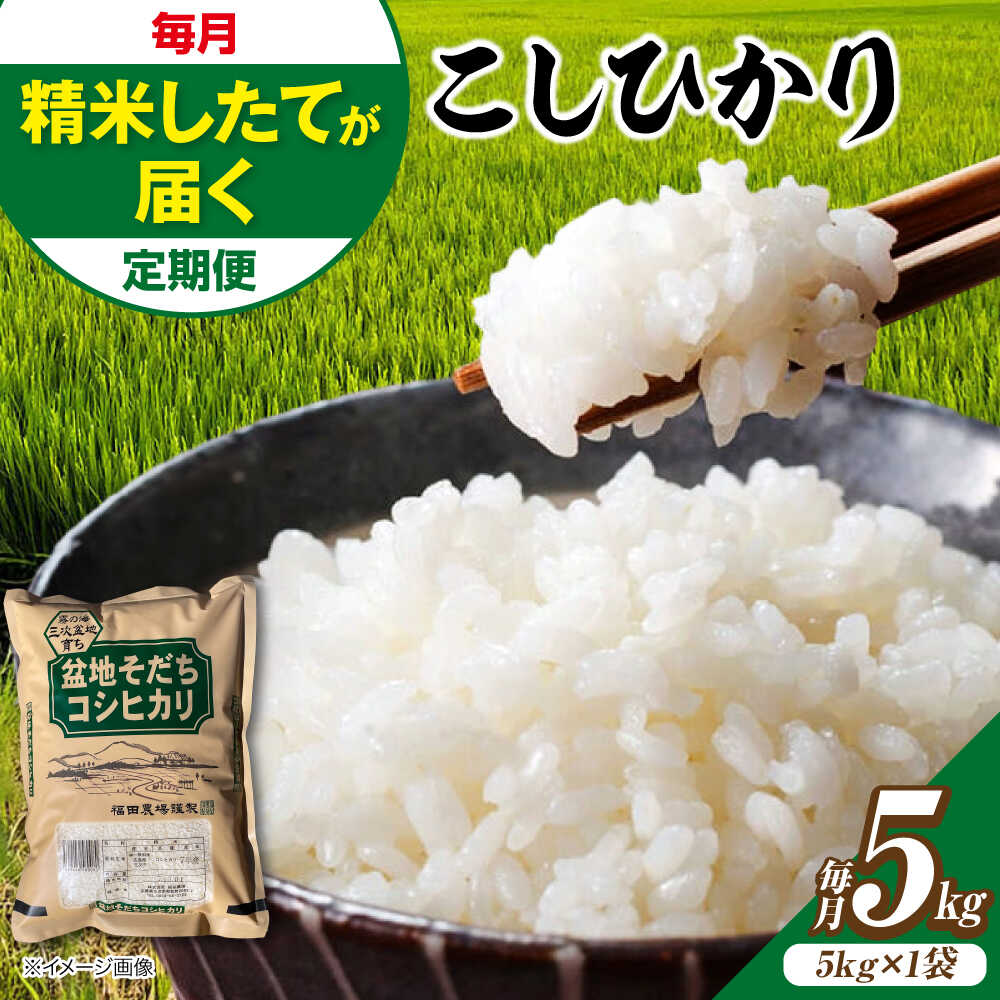 【ふるさと納税】こしひかり 5kg【選べるお届け回数 / スピード発送】米 盆地そだち 令和7年産 こめ 白米 精米 ご飯 お米 コシヒカリ ブランド米 ごはん 5キロ 小分け こしひかり 広島県産 国産 お取り寄せ 贈答 送料無料 誕生日 人気 おすすめ 三次市 / 福田農場[APBM027]