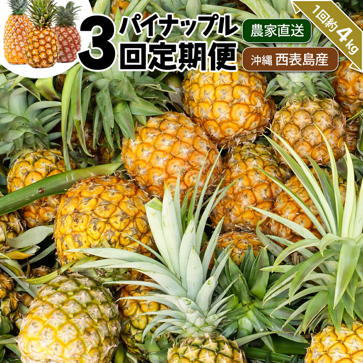 【ふるさと納税】【2026年5月～7月（全3回発送）】南国の美味しさを！パイナップル 定期便 B