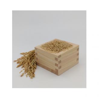 2024年産新米【南信州高森産】 コシヒカリ玄米20kg(10kg×2袋)