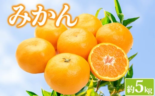 みかん 約5kg 柑橘 ミカン 蜜柑 オレンジ 果物 くだもの フルーツ 果実 ジュース ゼリー みかんジュース みかんゼリー スイーツ デザート おやつ ギフト 贈答用 プレゼント 順次発送 香川県 丸亀市