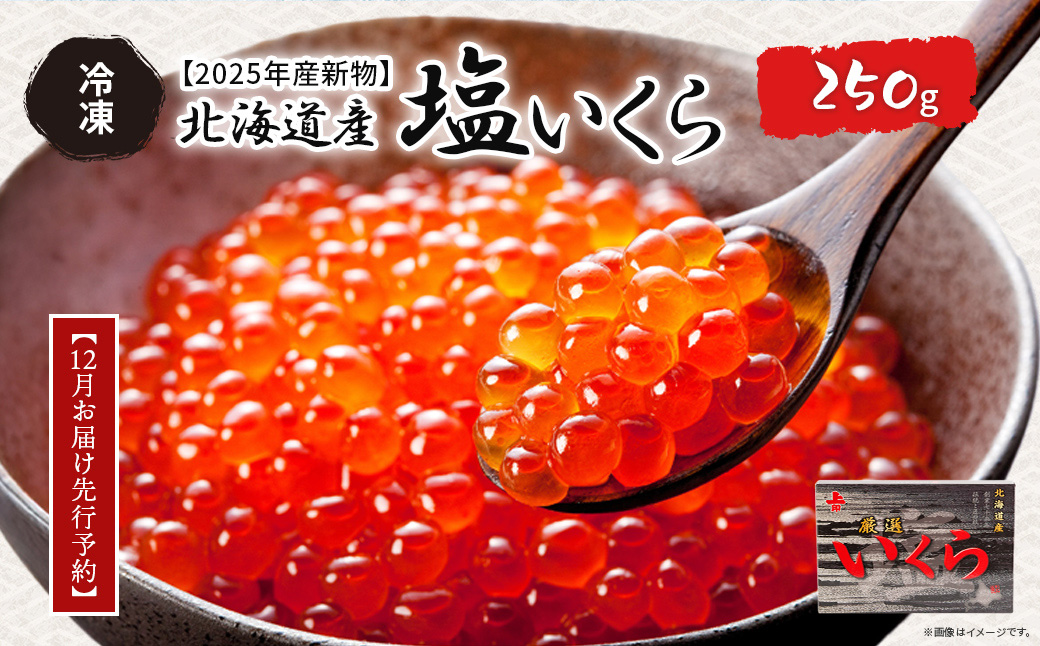 【12月お届け先行予約】【2025年産新物】北海道産 塩いくら（冷凍）250g ABAB005