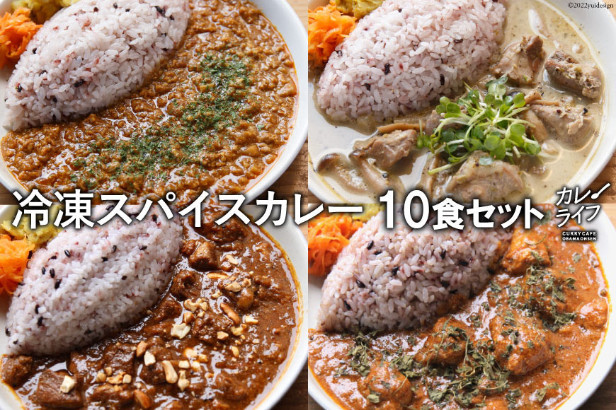 
冷凍スパイスカレー 4種 計10食セット キーマ グリーン チキン ポーク 詰め合わせ 食べ比べ [カレーライフ 長崎県 雲仙市 item0818 ]
