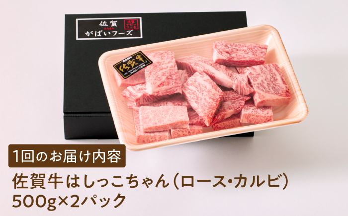 【いろいろな部位を楽しめて、食べごたえ抜群！】＜全12回定期便＞佐賀牛 はしっこちゃん  計1kg（ロース カルビ）【がばいフーズ】佐賀牛 A5 A4 焼肉 カレー [HCS046]