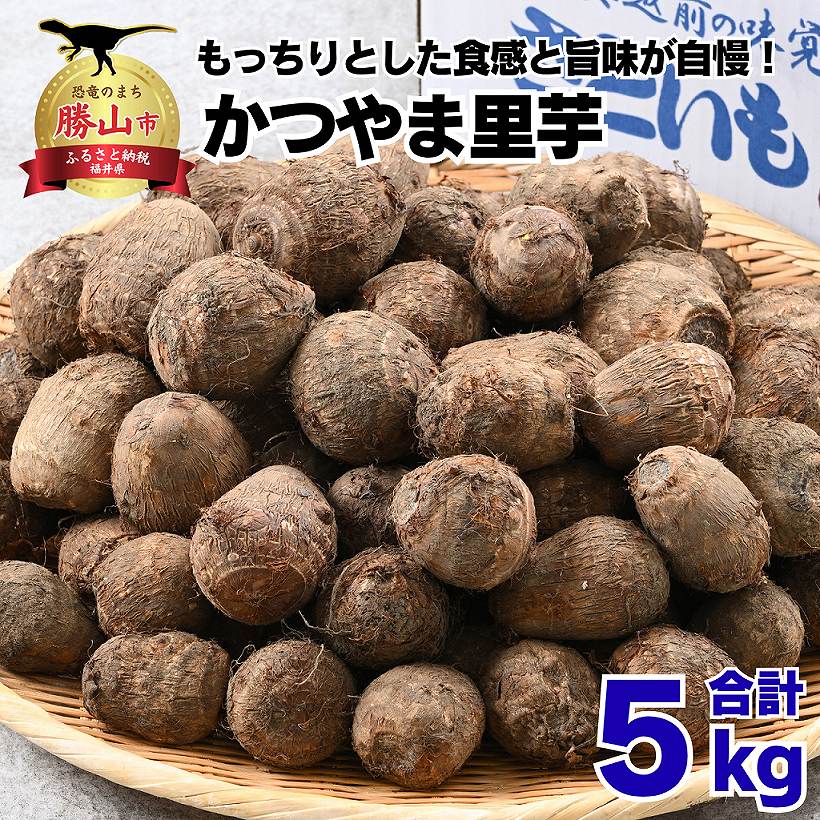 【ふるさと納税】令和7年産 かつやま 里芋 5kg | 野菜 芋 いも 和食 煮物 おでん 惣菜 さといも 大容量 新鮮 料理 食べ頃 完熟 旬 おいしい お取り寄せ セット ギフト サイズ 特産 名産 農家 直送 家庭用 箱入り 送料無料