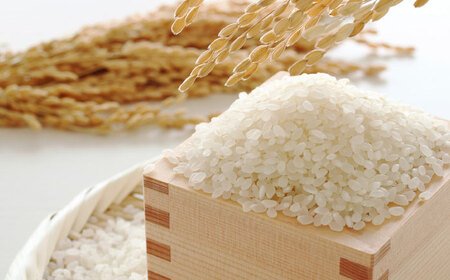 【令和6年産】果物屋さんが選んだ米 元気つくし 5kg 《築上町》【南国フルーツ株式会社】米 白米 お米 ブランド米[ABET010]