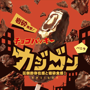 【シャトレーゼ】チョコアイスバラエティセット　アイスクリーム チョコバッキー 詰め合わせ [h028]