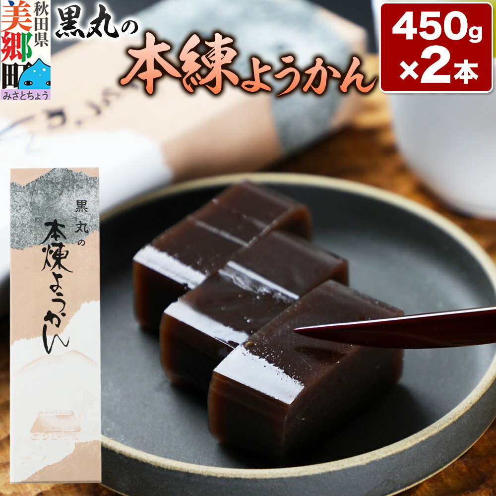 【ふるさと納税】本練ようかん 2本（450g×2本） ＜ゆうパケット＞