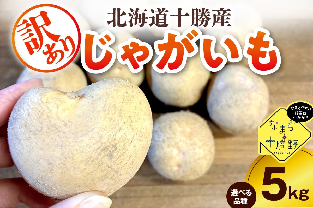
            【10月上旬～1月下旬頃配送】【訳あり】北海道十勝芽室町 農家応援じゃがいも5㎏（選べる品種）me001-050c-o
          