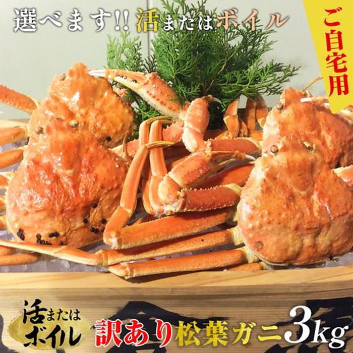 【ふるさと納税】102.【選べます！活またはボイル】訳あり　松葉ガニおまかせ3kg（5～8枚）※2025年11月上旬～2026年3月下旬頃に順次発送予定※着日指定不可