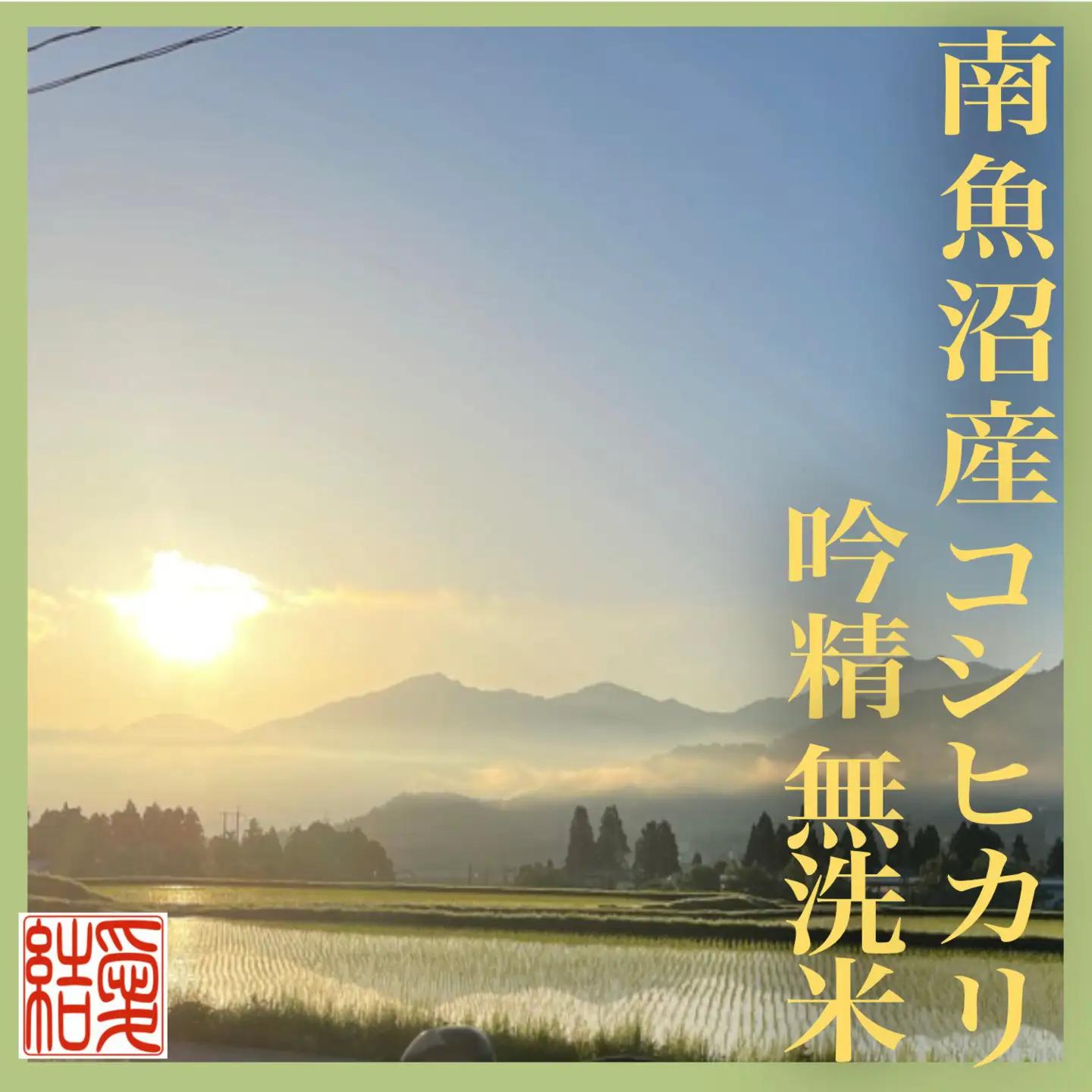 【令和7年】【定期便8Kg×全3回【無洗米】 南魚沼産コシヒカリ｜無洗米
